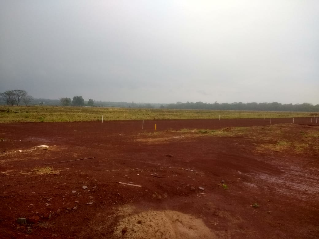 31 - WhatsApp Image 2019-10-08 at 00.20.59.jpeg